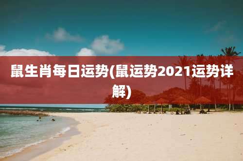 鼠生肖每日运势(鼠运势2021运势详解)