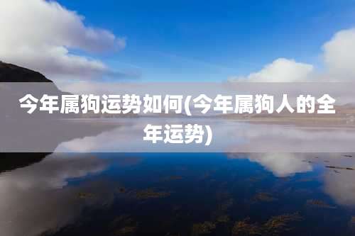 今年属狗运势如何(今年属狗人的全年运势)