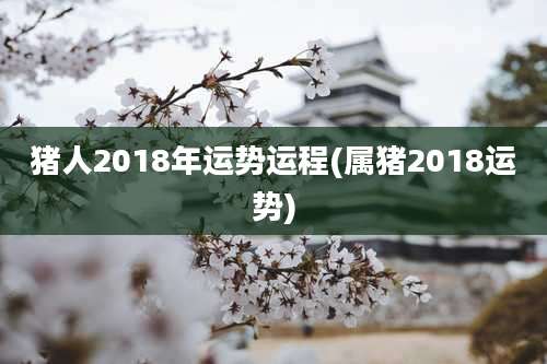 猪人2018年运势运程(属猪2018运势)