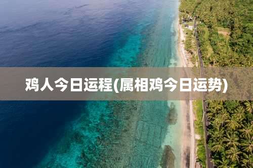 鸡人今日运程(属相鸡今日运势)