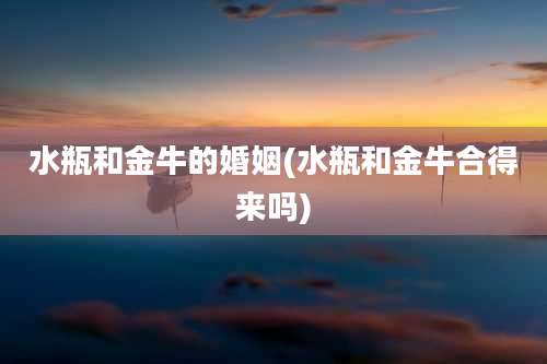 水瓶和金牛的婚姻(水瓶和金牛合得来吗)