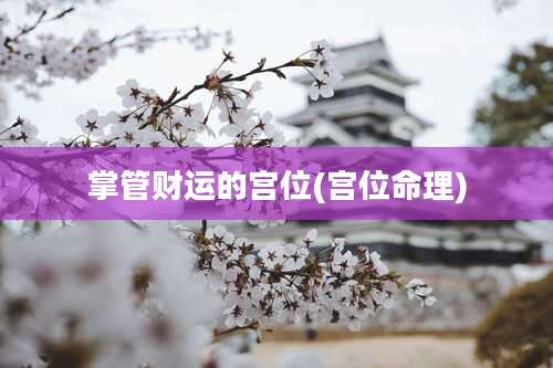 掌管财运的宫位(宫位命理)