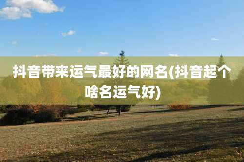 抖音带来运气最好的网名(抖音起个啥名运气好)