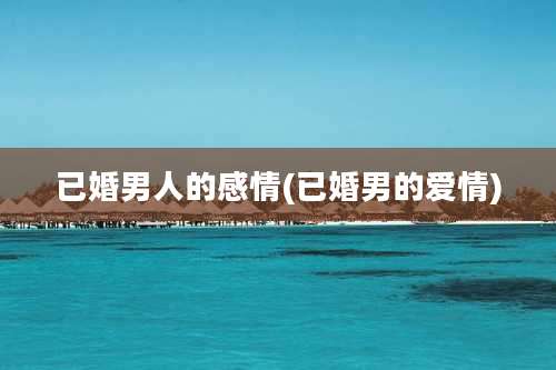 已婚男人的感情(已婚男的爱情)