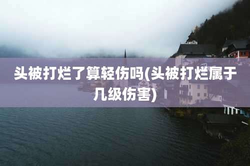 头被打烂了算轻伤吗(头被打烂属于几级伤害)