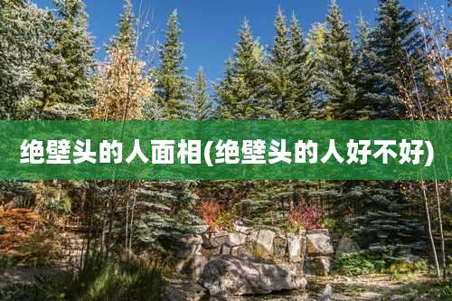 绝壁头的人面相(绝壁头的人好不好)