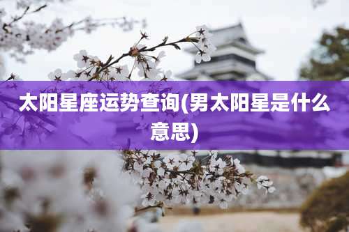 太阳星座运势查询(男太阳星是什么意思)