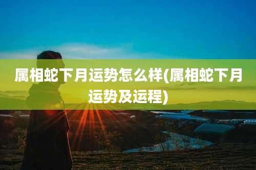 属相蛇下月运势怎么样(属相蛇下月运势及运程)