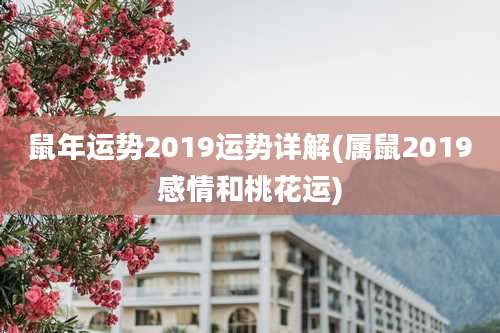 鼠年运势2019运势详解(属鼠2019感情和桃花运)