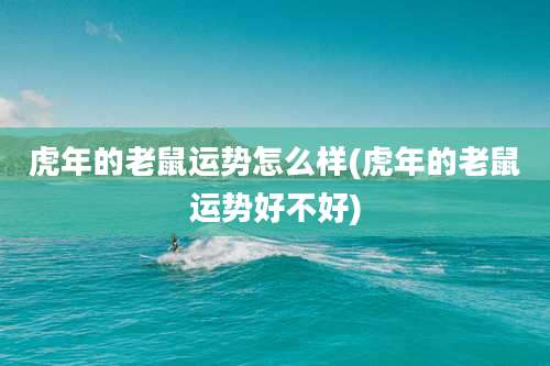 虎年的老鼠运势怎么样(虎年的老鼠运势好不好)