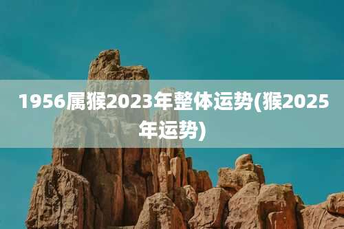 1956属猴2023年整体运势(猴2025年运势)