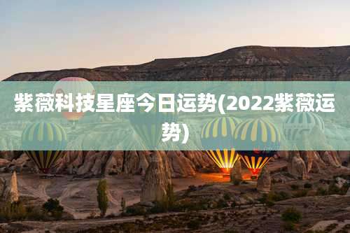 紫薇科技星座今日运势(2022紫薇运势)