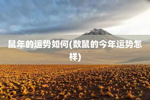 鼠年的运势如何(数鼠的今年运势怎样)