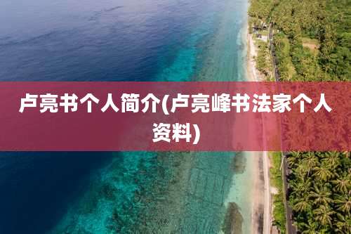 卢亮书个人简介(卢亮峰书法家个人资料)