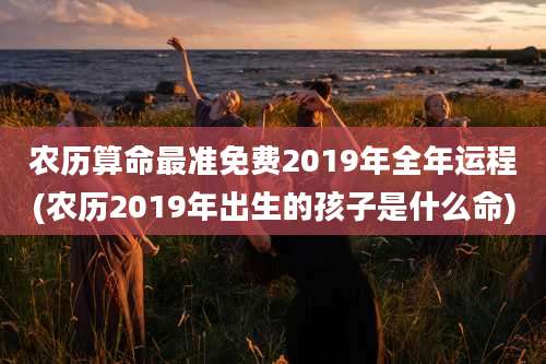 农历算命最准免费2019年全年运程(农历2019年出生的孩子是什么命)