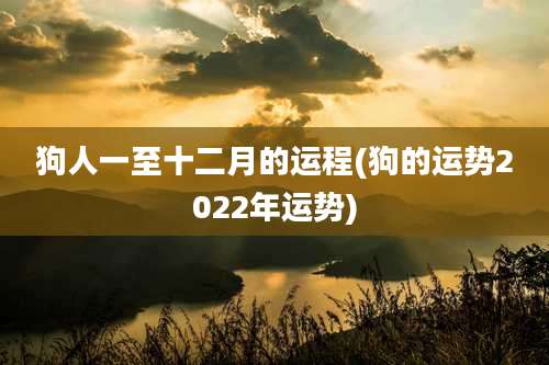 狗人一至十二月的运程(狗的运势2022年运势)
