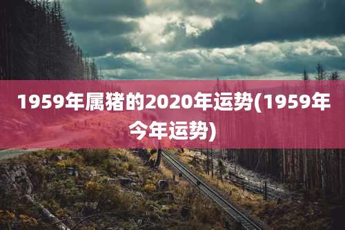 1959年属猪的2020年运势(1959年今年运势)