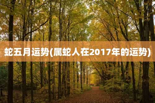 蛇五月运势(属蛇人在2017年的运势)
