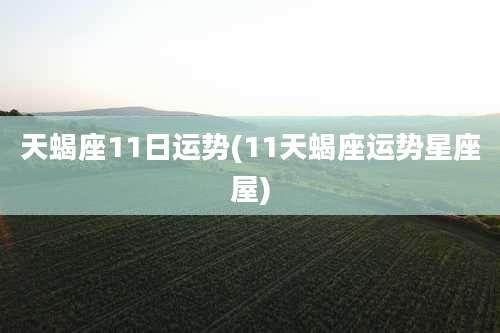 天蝎座11日运势(11天蝎座运势星座屋)