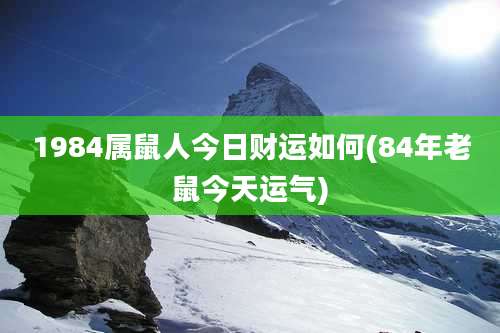 1984属鼠人今日财运如何(84年老鼠今天运气)