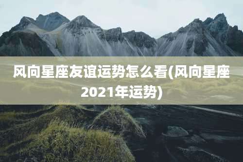 风向星座友谊运势怎么看(风向星座2021年运势)