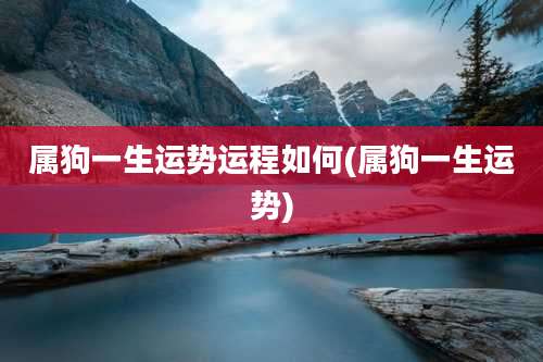 属狗一生运势运程如何(属狗一生运势)