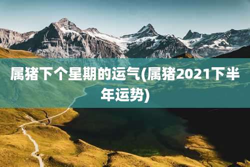 属猪下个星期的运气(属猪2021下半年运势)