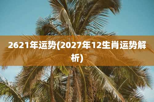2621年运势(2027年12生肖运势解析)
