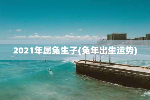 2021年属兔生子(兔年出生运势)