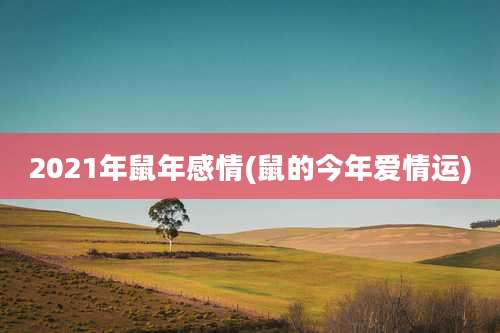 2021年鼠年感情(鼠的今年爱情运)