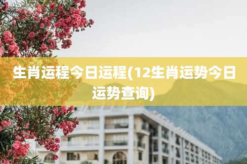 生肖运程今日运程(12生肖运势今日运势查询)