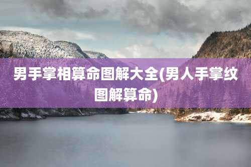 男手掌相算命图解大全(男人手掌纹图解算命)