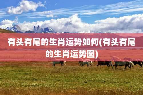 有头有尾的生肖运势如何(有头有尾的生肖运势图)