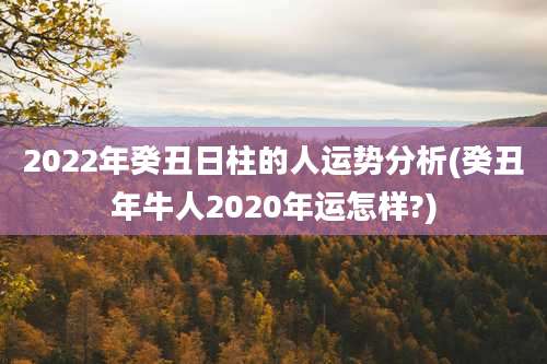 2022年癸丑日柱的人运势分析(癸丑年牛人2020年运怎样?)