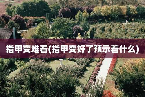 指甲变难看(指甲变好了预示着什么)