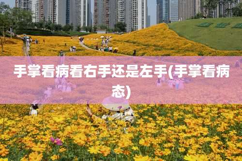 手掌看病看右手还是左手(手掌看病态)