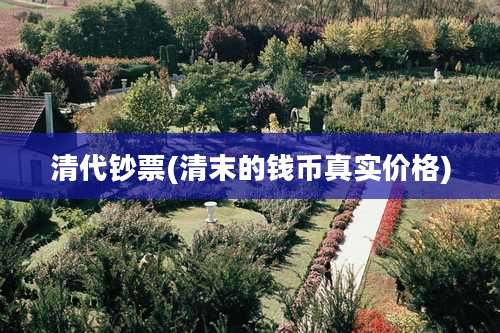 清代钞票(清末的钱币真实价格)