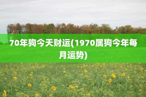 70年狗今天财运(1970属狗今年每月运势)
