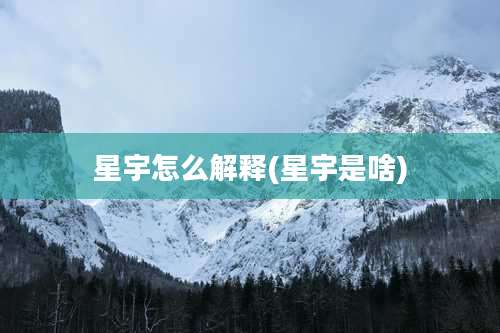 星宇怎么解释(星宇是啥)