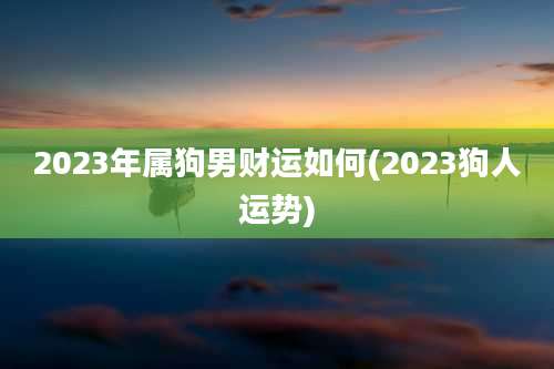 2023年属狗男财运如何(2023狗人运势)
