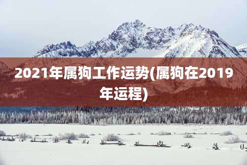 2021年属狗工作运势(属狗在2019年运程)
