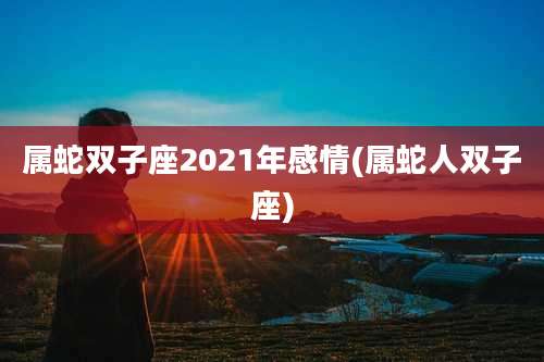 属蛇双子座2021年感情(属蛇人双子座)