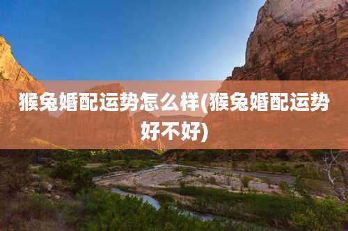 猴兔婚配运势怎么样(猴兔婚配运势好不好)