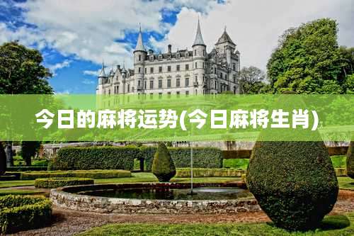 今日的麻将运势(今日麻将生肖)