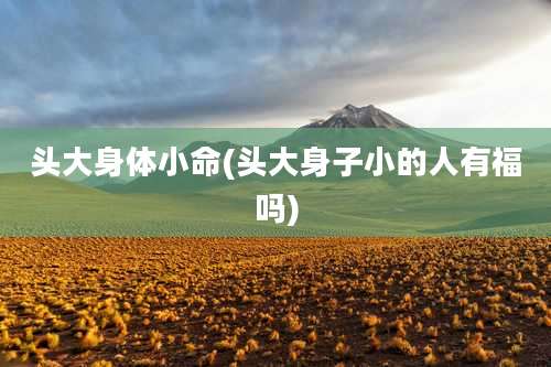 头大身体小命(头大身子小的人有福吗)