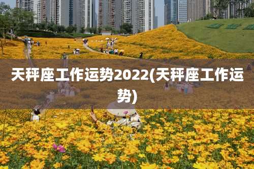 天秤座工作运势2022(天秤座工作运势)