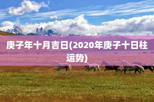 庚子年十月吉日(2020年庚子十日柱运势)