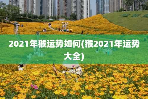 2021年猴运势如何(猴2021年运势大全)