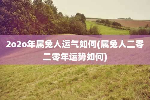 2o2o年属兔人运气如何(属兔人二零二零年运势如何)