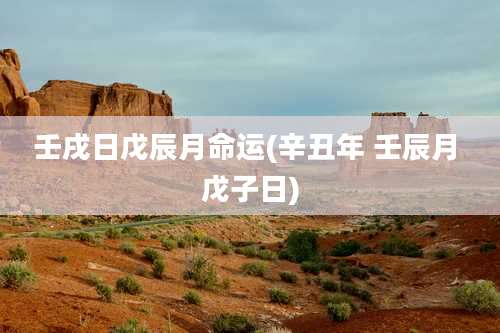 壬戌日戊辰月命运(辛丑年 壬辰月 戊子日)